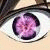 :iconhishou: