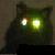 :iconhisorpheus: