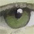 :iconhispanic-impressions: