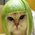 :iconhitokirikittae: