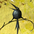 :iconhitsujifox: