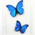:iconhitsuzen-butterfly: