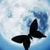 Hitsuzen-of-Watanuki :iconhitsuzen-of-watanuki: