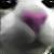 :iconhitta: