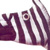 :iconhiver71: