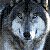 :iconhiyas: