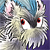 :iconhizylan: