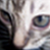:iconhjstfkblahrawrr: