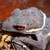 :iconhkgecko: