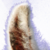 :iconhkgfkd1: