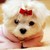 :iconhkmy: