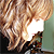 :iconhlynsalir: