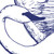 :iconhmd67: