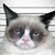 :iconhmh503: