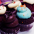 :iconhms13: