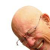 :iconhngh1: