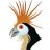 :iconhoatzin64: