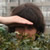 :iconhobojoebo: