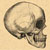 :iconhocuspocusfocus: