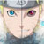 :iconhoeneim: