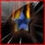 :iconHofferic: