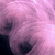 :iconhoffi-hoffi: