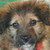 :iconhoffi-photographie: