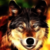 :iconhofi125: