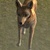 :iconhogashi-chan: