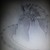 :iconhogthehedgehog: