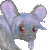 :iconhohki: