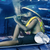 :iconhohogfx: