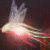 :iconhohoking: