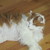 :iconhojo1976: