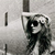 :iconHold-your-Beth: