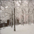 :iconholidayspirit: