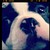 :iconholleq: