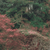 :iconhollow-tempest: