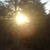 :iconhollow-wood:
