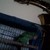 :iconhollow1458: