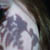 :iconhollowed-obsession: