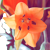 hollowedwind :iconhollowedwind: