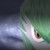 :iconhollowolfpup: