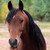 :iconholly-cloud: