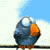 Holly-Toadstool :iconholly-toadstool: