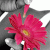 :iconhollyamandakerr: