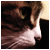 :iconhollycat: