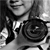 :iconhollydeb: