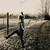 :iconhollygraphy: