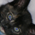 :iconhollylou: